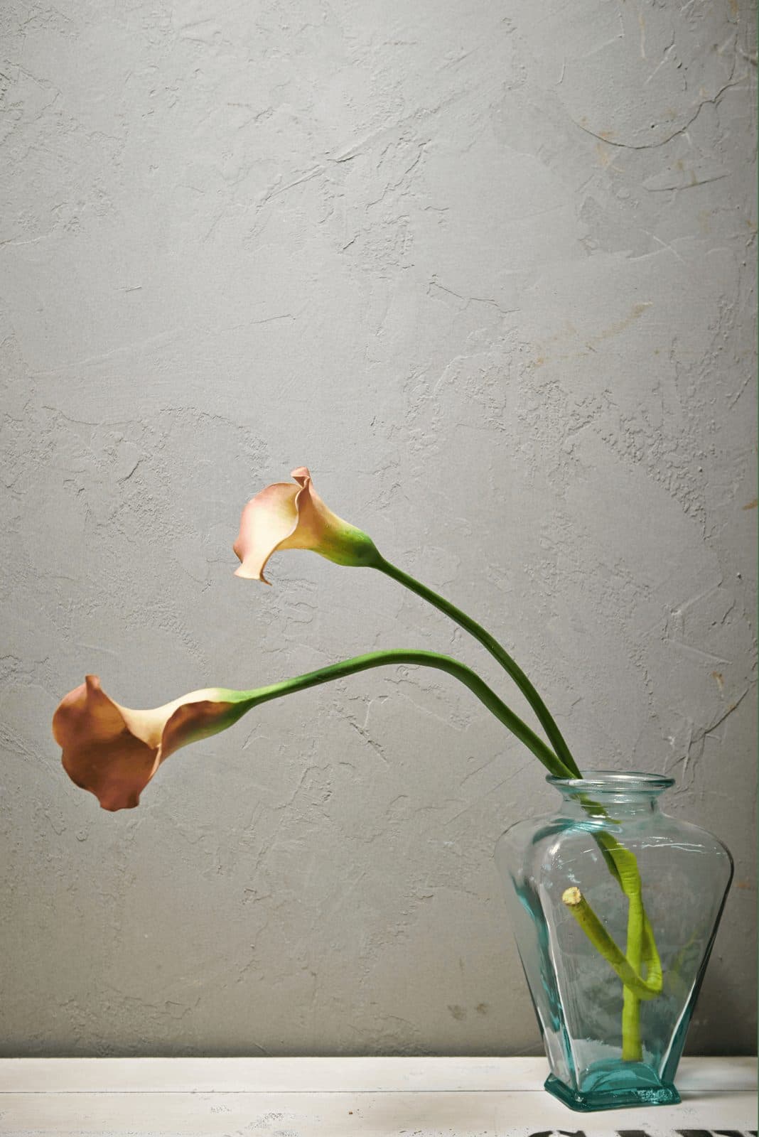 Peach calla lilies in a clear glass vase against a textured white wall