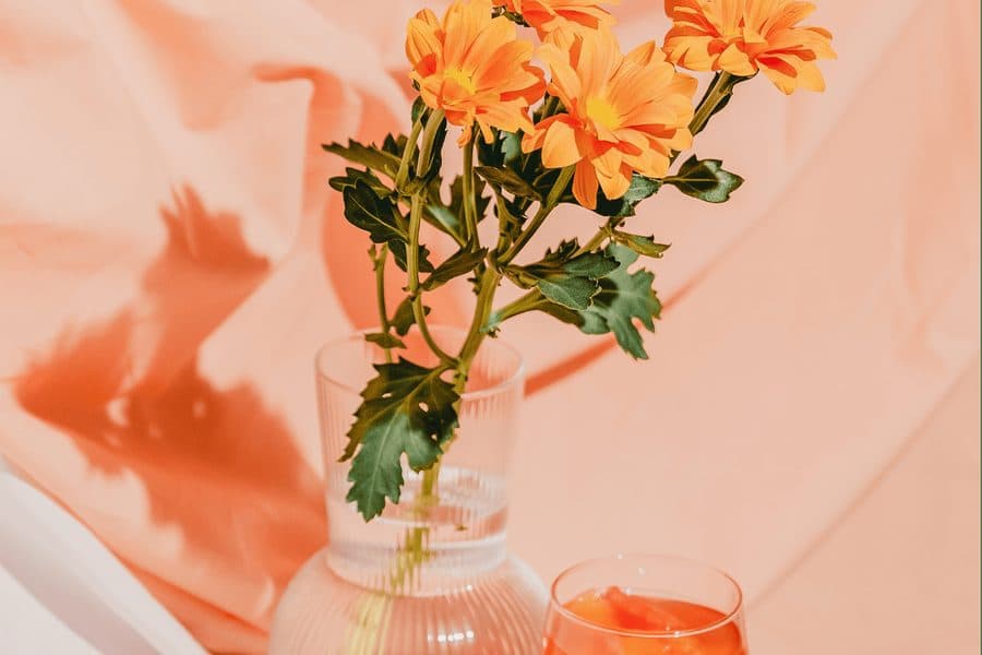 Orange blooms in a glass vase against peach fabric